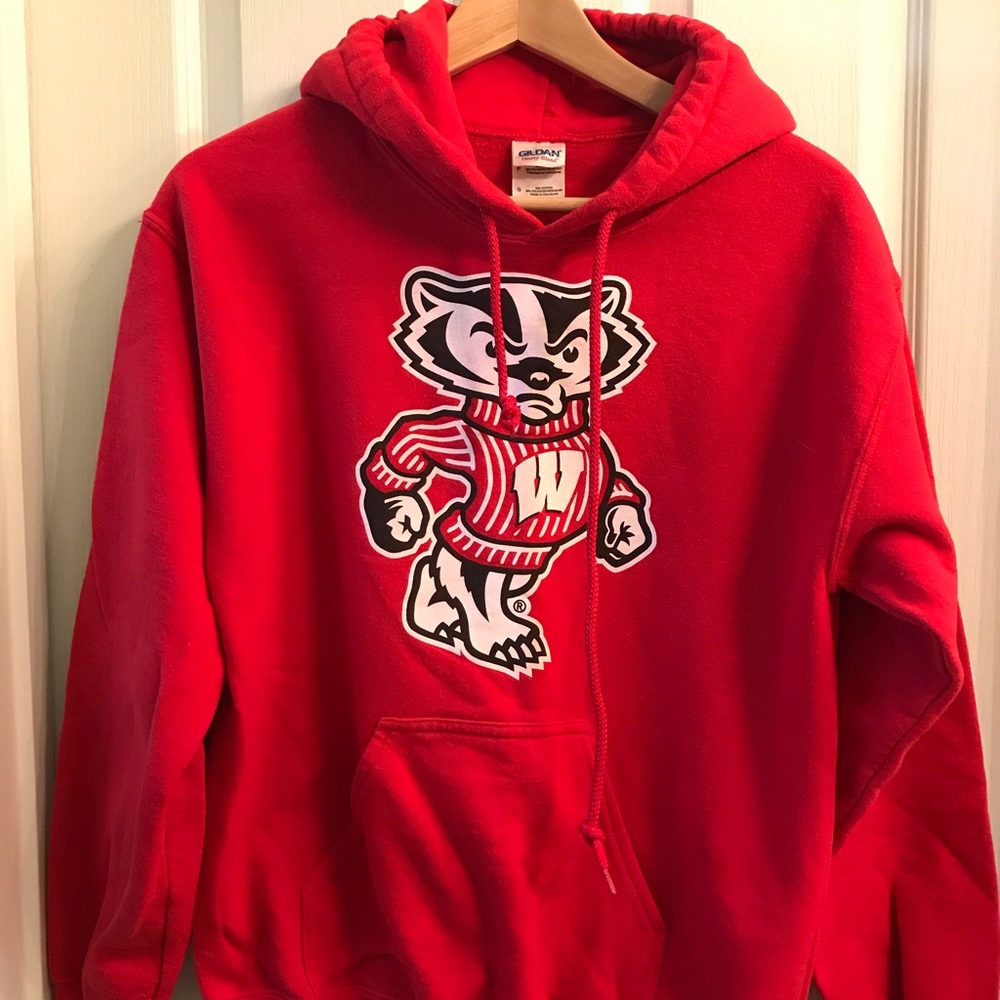 University of Wisconsin Badgers Hoodie Sz Small